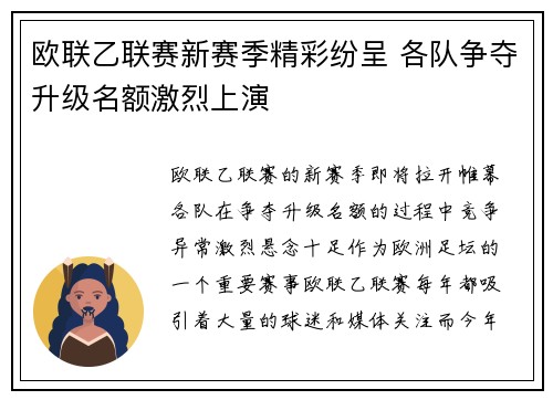 欧联乙联赛新赛季精彩纷呈 各队争夺升级名额激烈上演